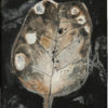 Slavko Kopac, Composition in leaf form, 1965/66